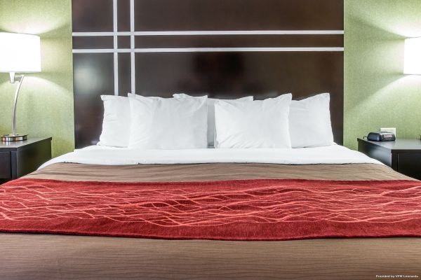 Comfort Inn & Suites Maumee - Toledo (I80-90)
